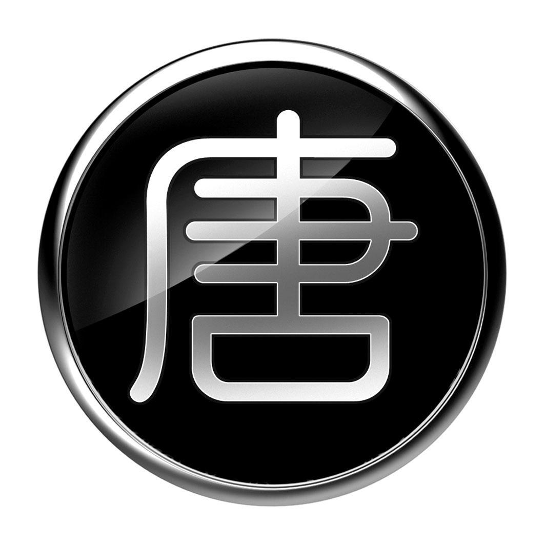 唐???揭秘唐朝，辉煌时代的文化、政治与社会变迁
