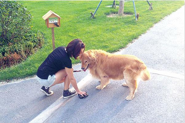烈犬咬死人 狗主人获刑6年半烈犬咬人致死事件，狗主人的法律责任与后果